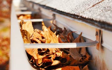 Roslin gutter cleaning companies