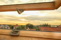 rated Roslin roof window companies